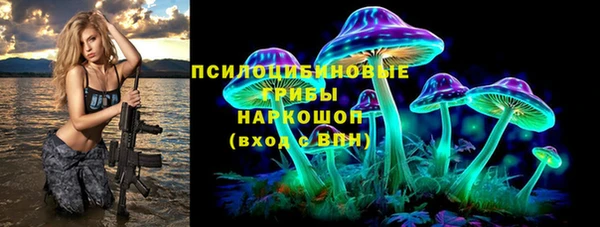 дурь Богородск