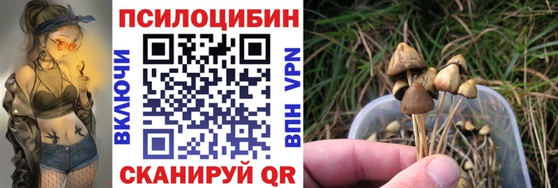 купить  сайты  Фролово  Галлюциногенные грибы Cubensis 